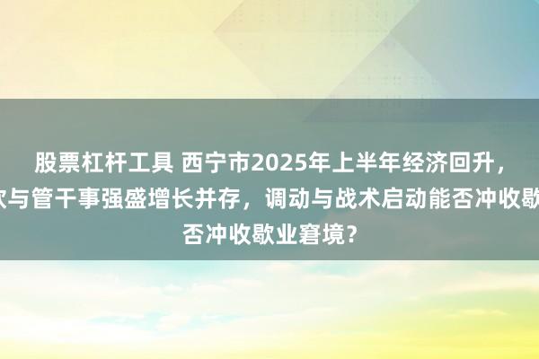 股票杠杆工具 西宁市2025年上半年经济回升，工业疲软与管干事强盛增长并存，调动与战术启动能否冲收歇业窘境？